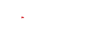 V CEO Summit of the Americas