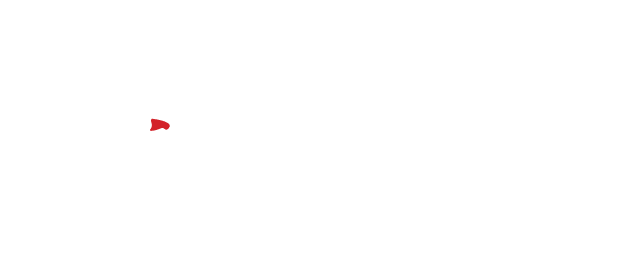 V CEO Summit of the Americas